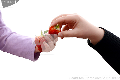 Image of Toddler and adult sharing two fresh strawberries