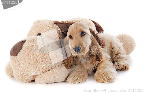 Image of puppy cocker spaniel and toy