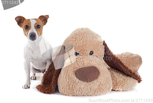 Image of jack russel terrier and toy