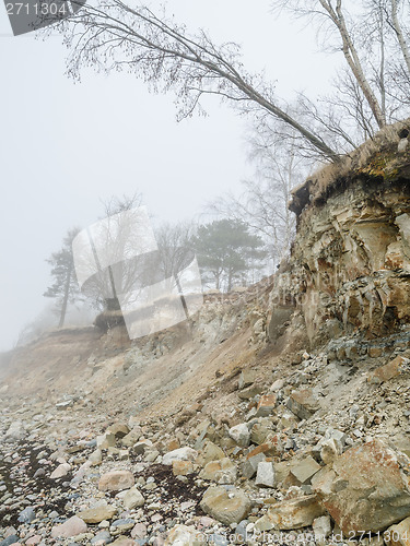 Image of Steep coast of Baltic sea in a fog