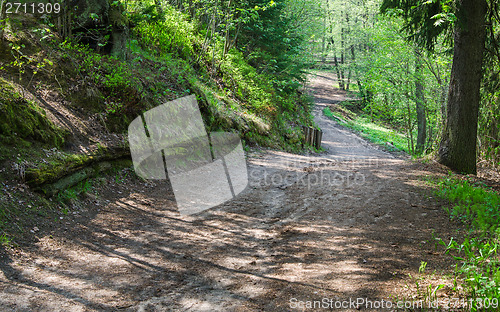 Image of Footpath in a summer park