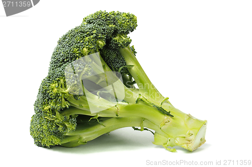 Image of Broccoli on White