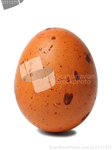 Image of Dotted egg standing on white