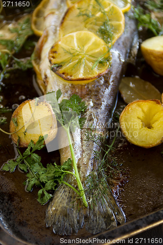 Image of Baked Rainbow Trout Tail