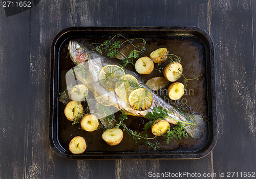 Image of Baked Rainbow Trout