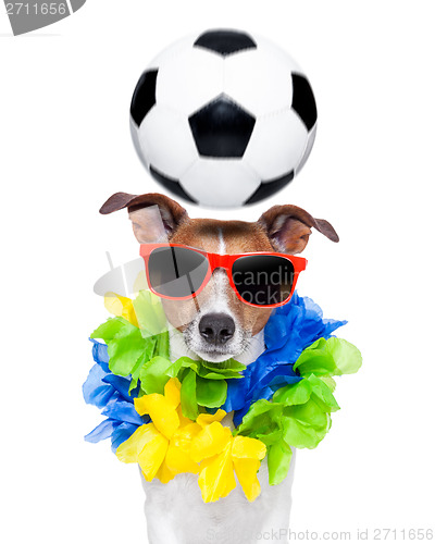 Image of brazil funny soccer dog 