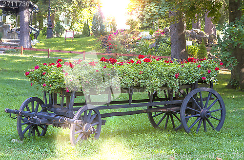 Image of old wheel cart with flowers