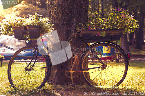 Image of flowers on a black bicycle
