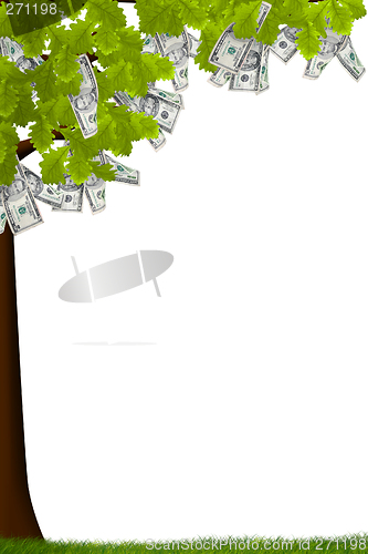 Image of Cash Tree