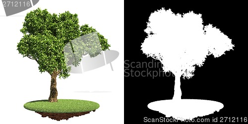 Image of Green Tree Isolated on White Background.