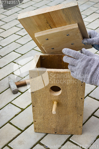 Image of Making a birdhouse from boards spring season