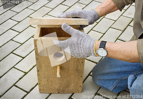 Image of Making  birdhouse