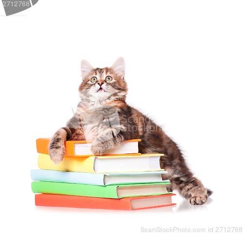 Image of Kitten with books