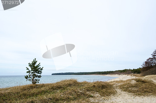 Image of Sand Beach at a bay of the Baltic Sea