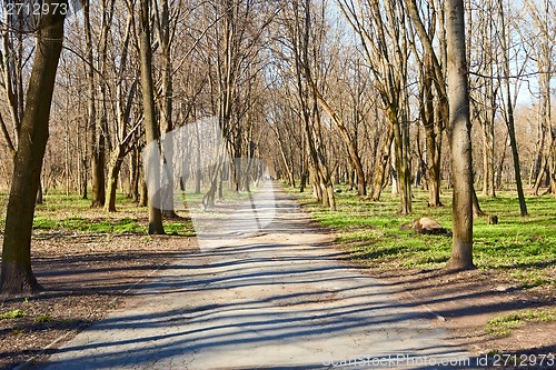 Image of Walkway in the old park in early spring