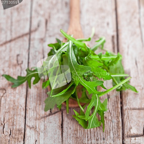 Image of fresh rucola in a spoon 