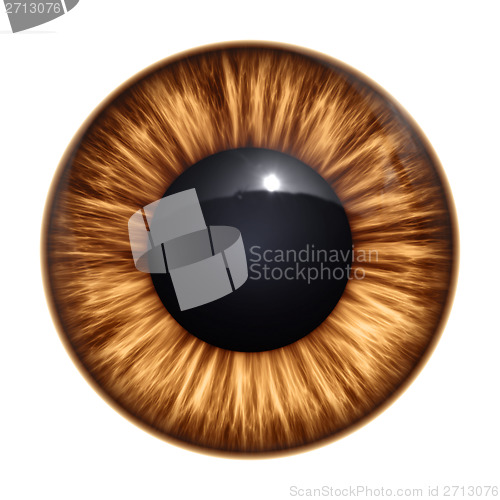 Image of brown eye texture