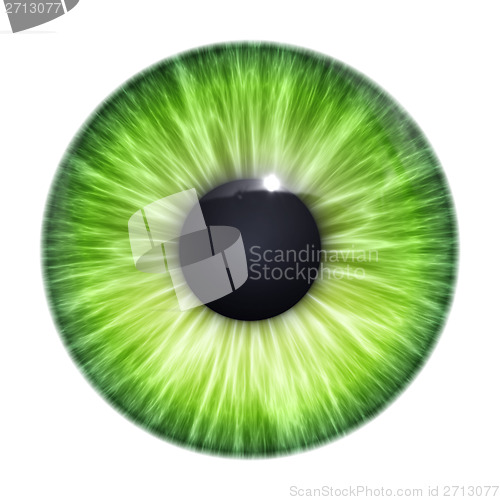 Image of green eye texture