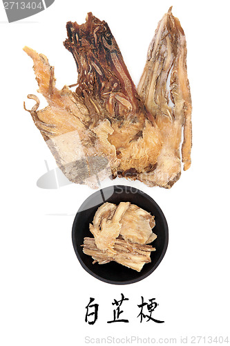 Image of Angelica Herb Root