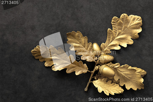 Image of Golden Oak Leaf Beauty