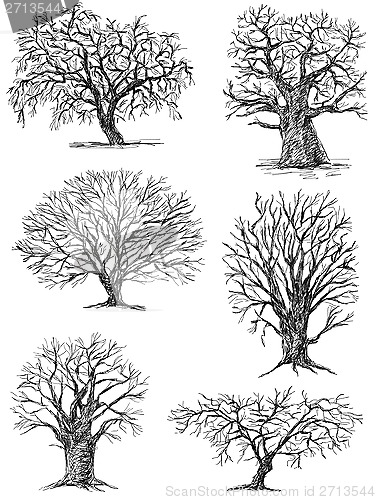 Image of trees