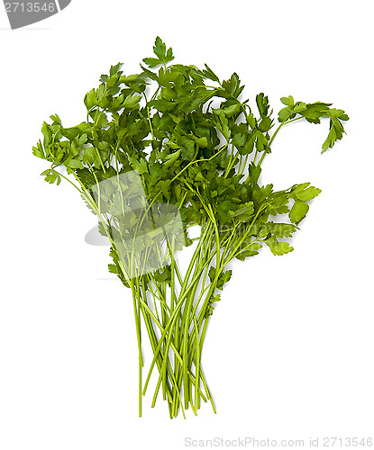 Image of Parsley