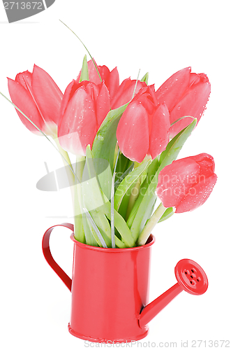 Image of Spring Tulips