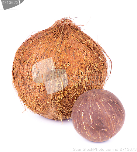 Image of Coconuts
