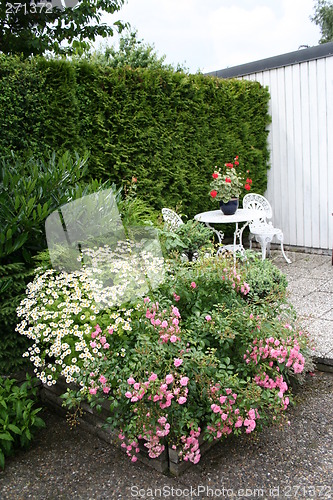 Image of Corner in garden