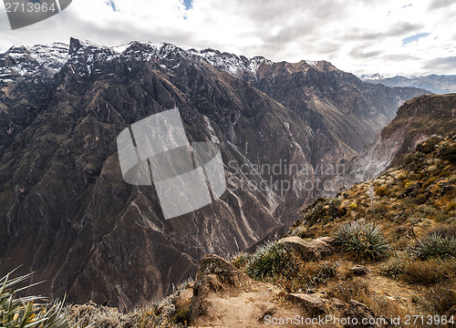Image of Colca Canyon Overview