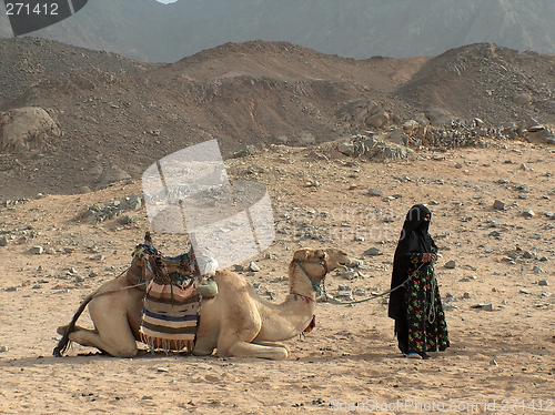 Image of A camel with a bedouin, nomad woman on a desert