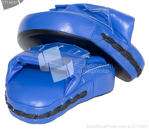 Image of Blue Punching Focus Mitts Cutout