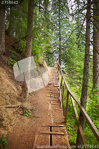 Image of Footpath in wood