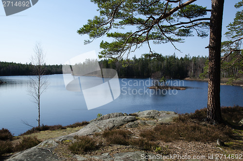 Image of View at a forest lake