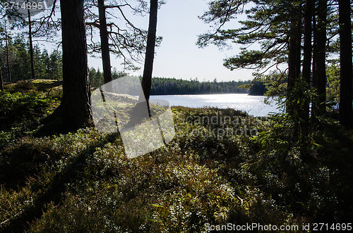 Image of Glittering lake view