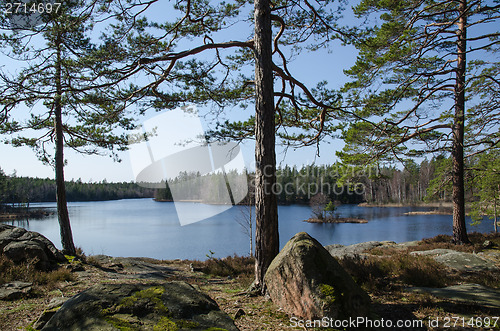 Image of Calm lake in the woodland