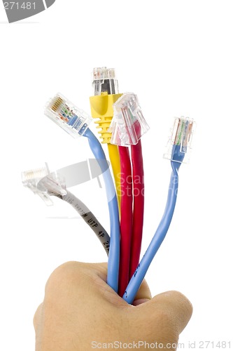 Image of Hand holding network cables

