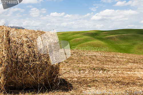 Image of Tuscany agriculture