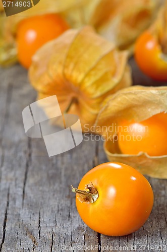 Image of Physalis fruit