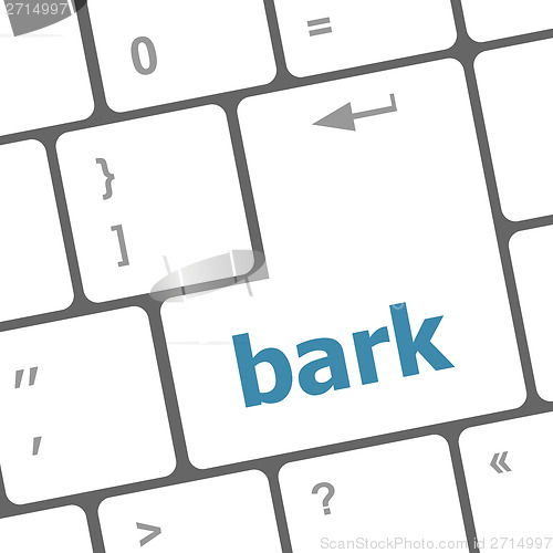 Image of bark word on keyboard key, notebook computer