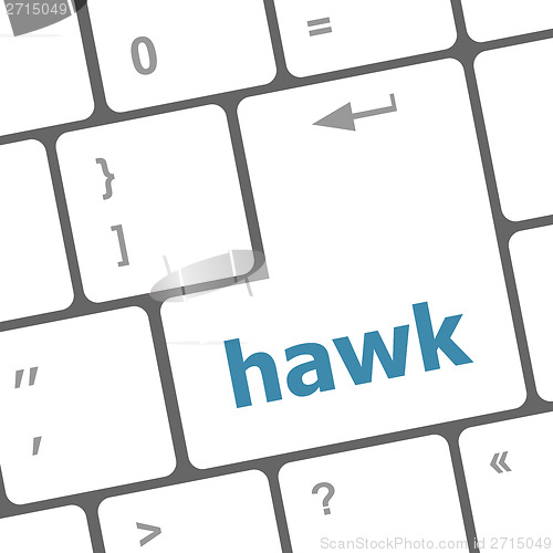 Image of hawk word on computer pc keyboard key