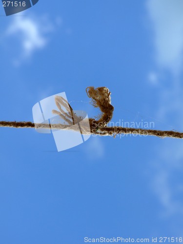 Image of strong knot at the old rope in the sky