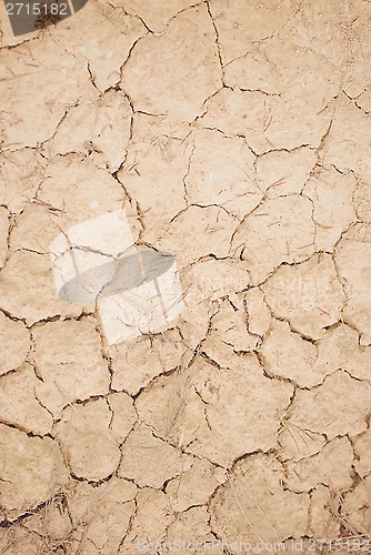 Image of Dry cracked earth