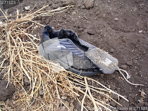 Image of Old dirty torn shoe lay on the ground