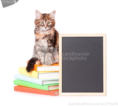 Image of Kitten with chalkboard