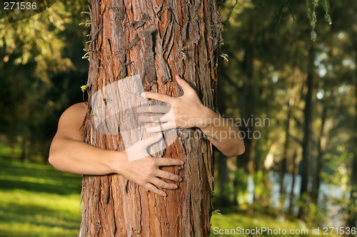 Image of Save the trees