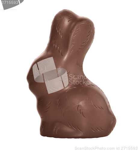 Image of Chocolate Bunny 