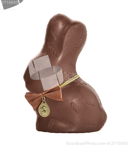 Image of Chocolate Bunny