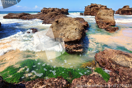 Image of Seagrass plants among the rocks at low tide, Australia