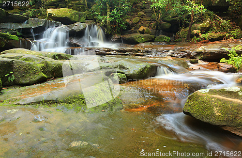 Image of Tranquility waterfalls and moss covered rocks